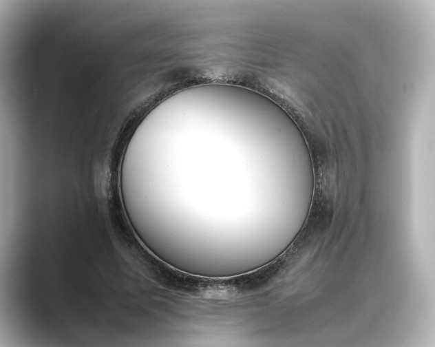 X0000089400587200706221119