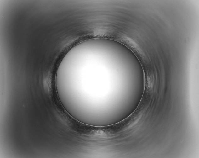 X0000089400588200706221119