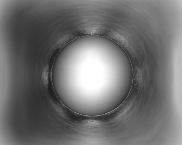 X0000089400590200706221119