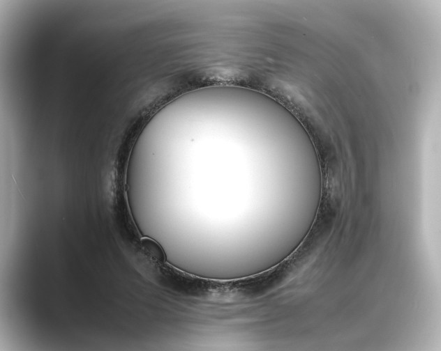 X0000089400591200706221119