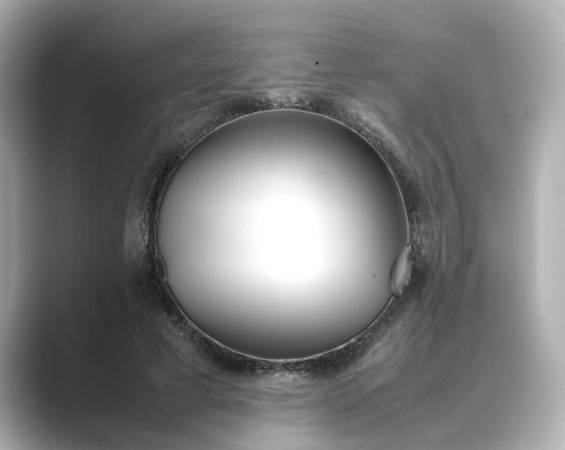 X0000089400593200706221119