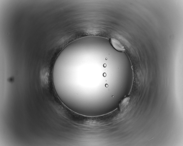 X0000089400596200706221119