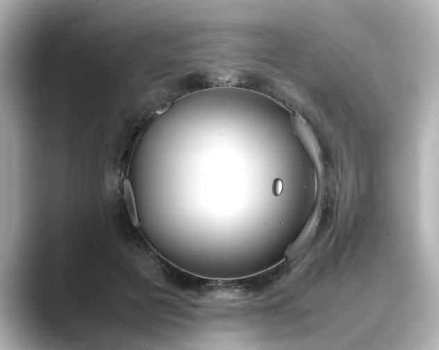 X0000089400601200706221119