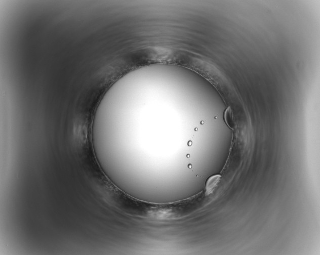 X0000089400602200706221119