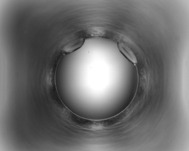 X0000089400604200706221119