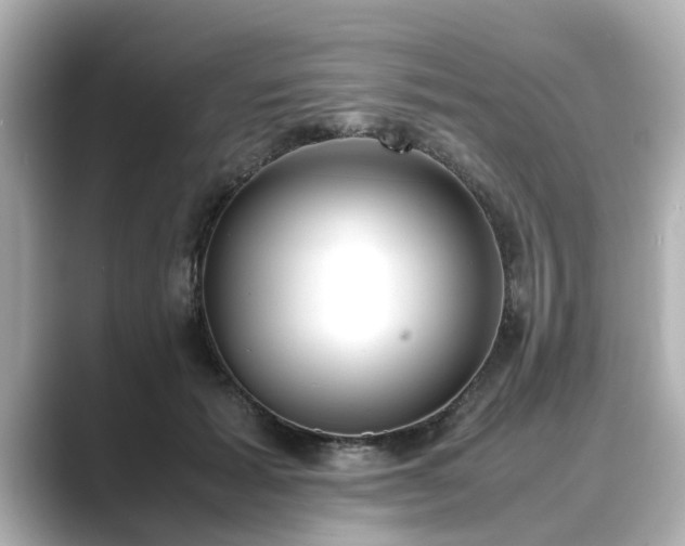 X0000089400605200706221119