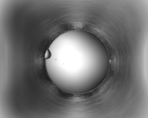 X0000089400608200706221119