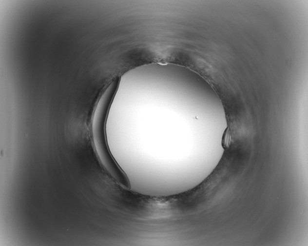 X0000089400613200706221118