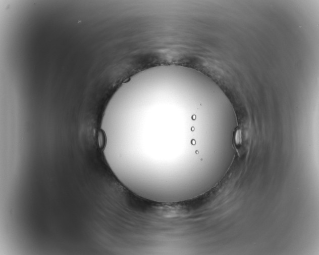 X0000089400615200706221118