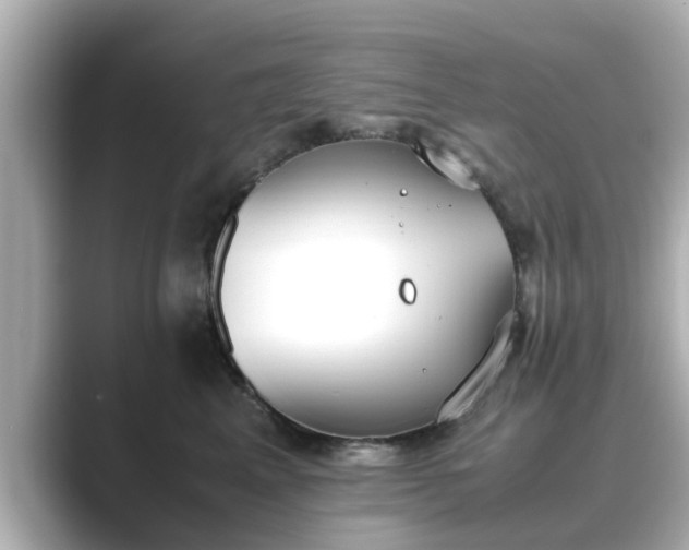 X0000089400617200706221118