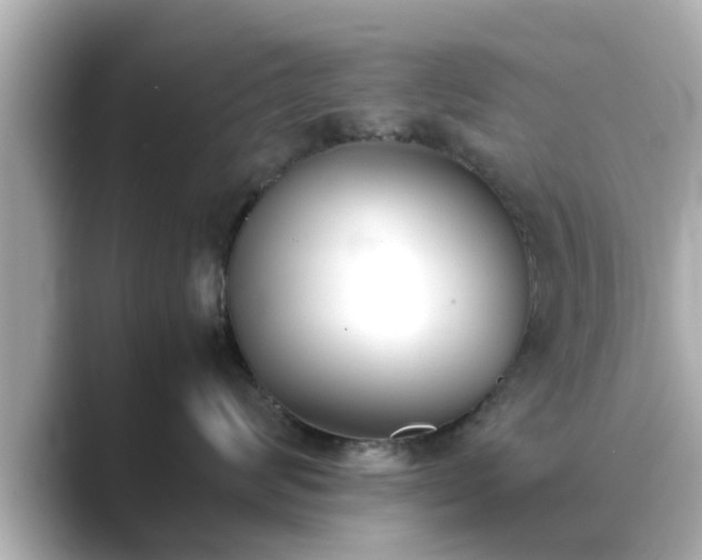 X0000089400624200706221118