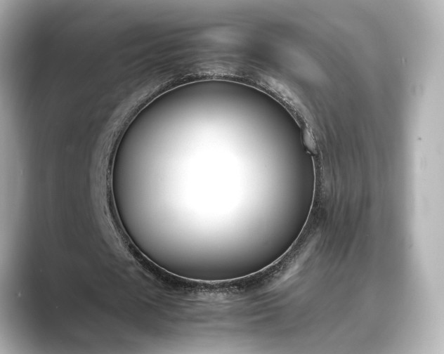 X0000089400625200706221118