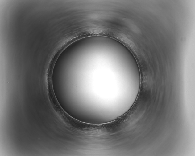 X0000089400626200706221118