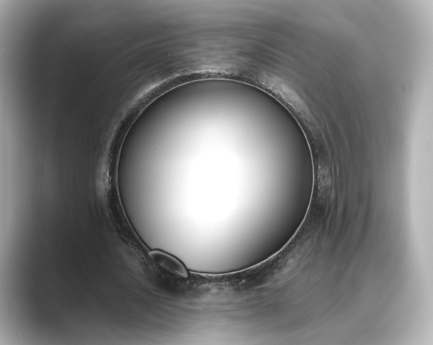 X0000089400628200706221118