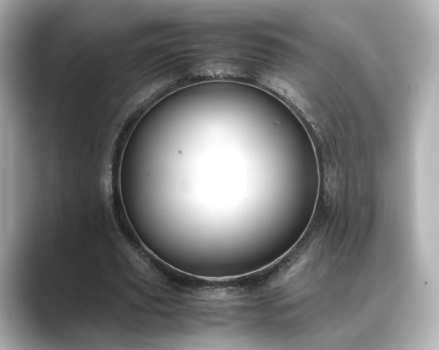 X0000089400629200706221118