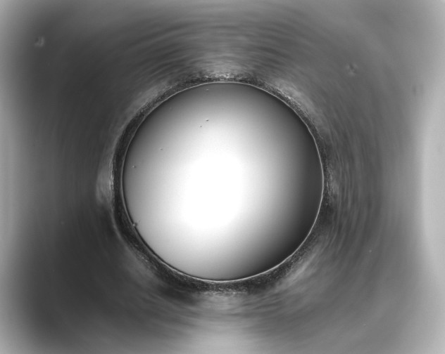 X0000089400630200706221118