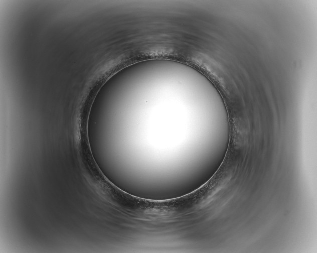 X0000089400631200706221118