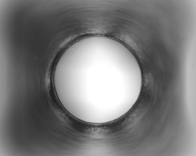 X0000089400632200706221118