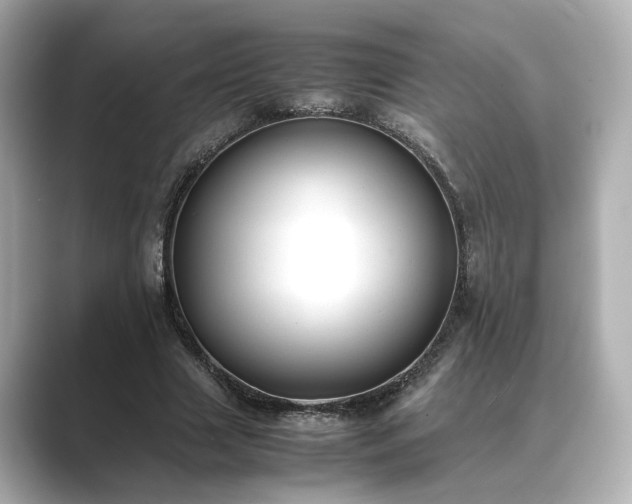 X0000089400633200706221118