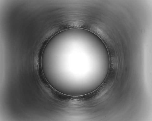 X0000089400634200706221118