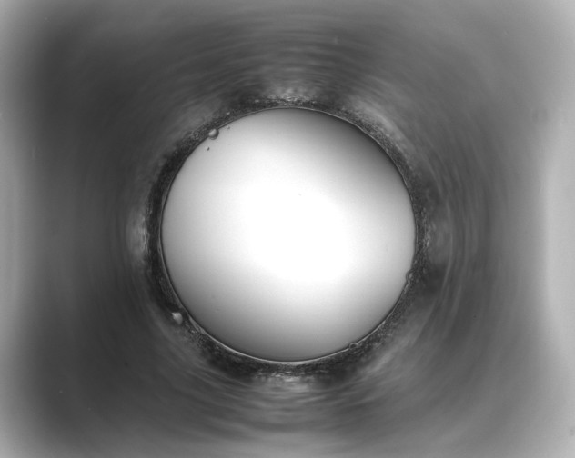 X0000089400635200706221118