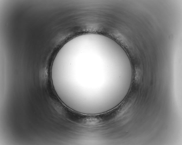 X0000089400636200706221118