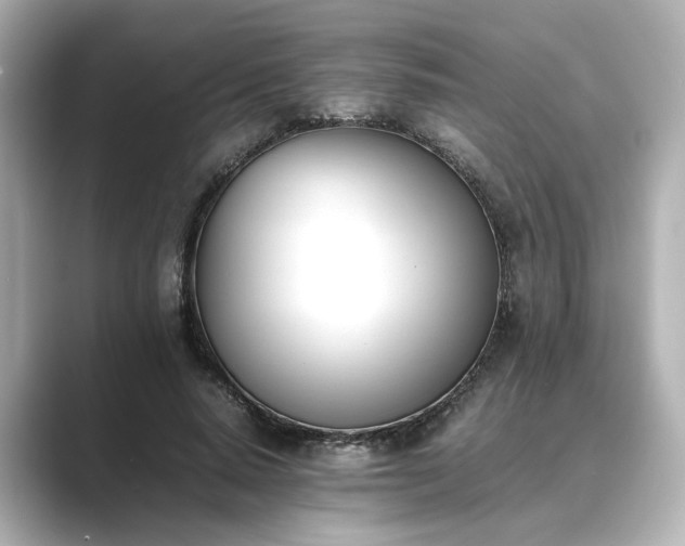 X0000089400640200706221118