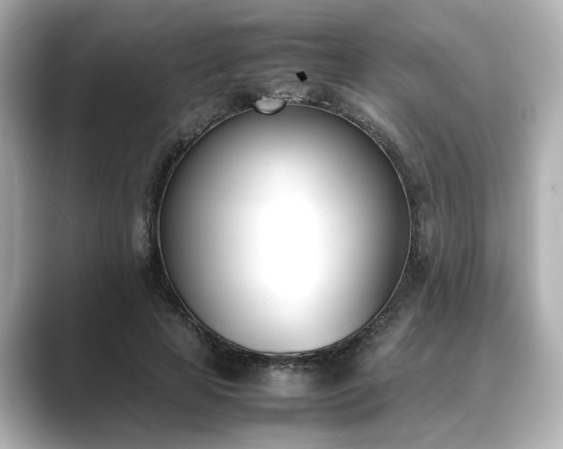 X0000089400641200706221118