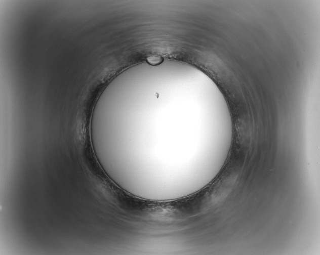 X0000089400642200706221118