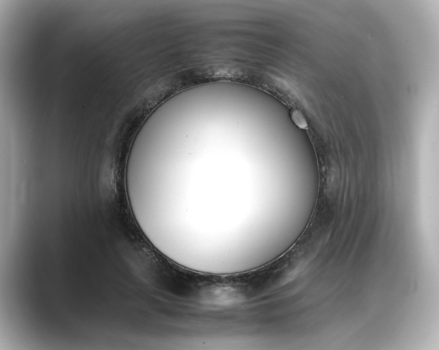 X0000089400643200706221118