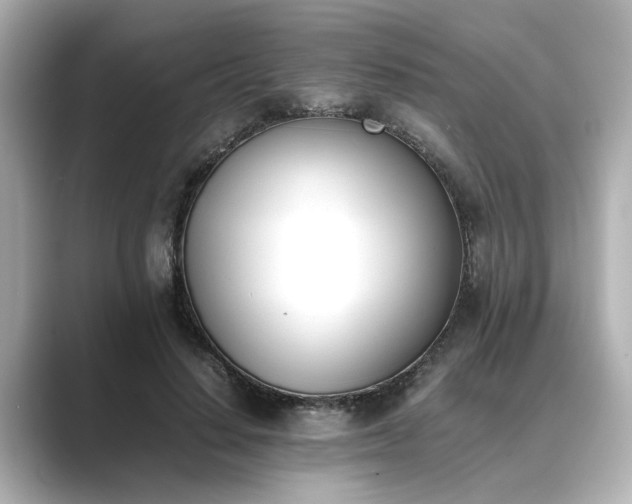 X0000089400644200706221118