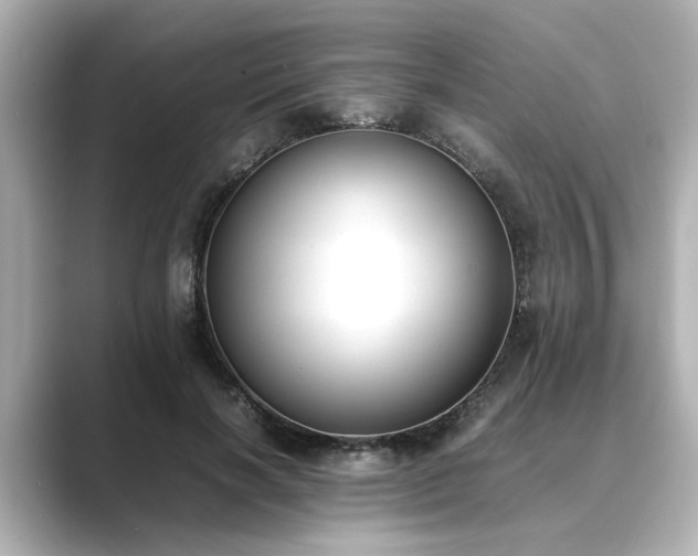 X0000089400646200706221118