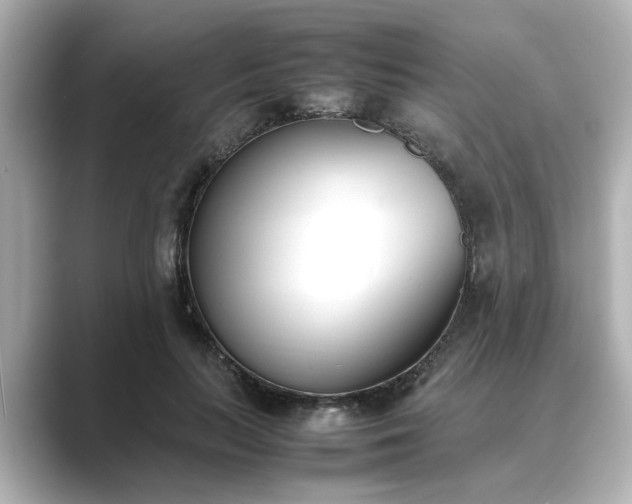 X0000089400647200706221118