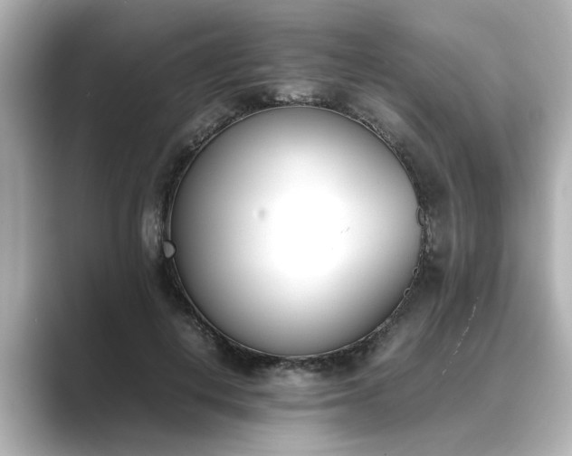 X0000089400648200706221118