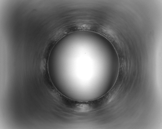 X0000089400649200706221118