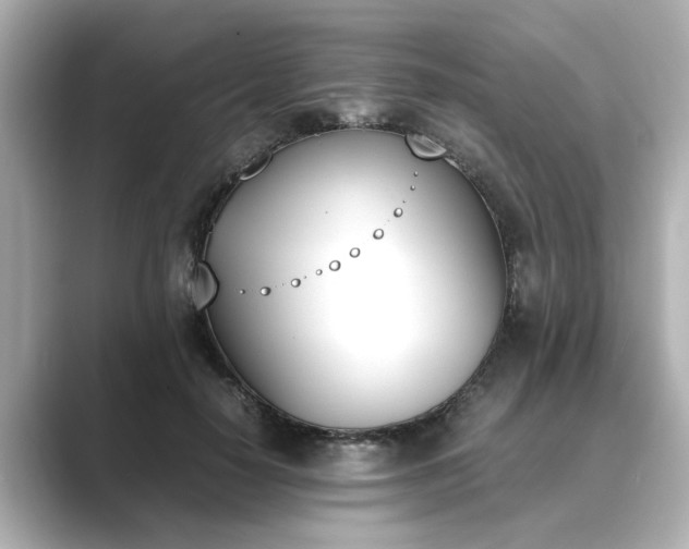 X0000089400650200706221118