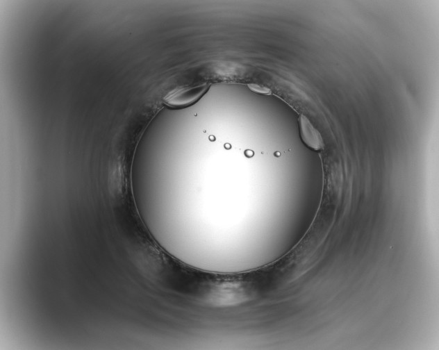 X0000089400651200706221118