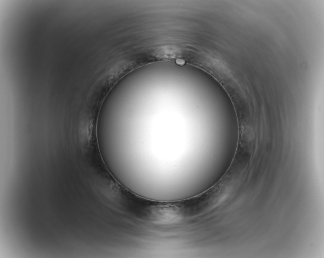 X0000089400652200706221118