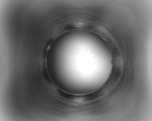 X0000089400653200706221118