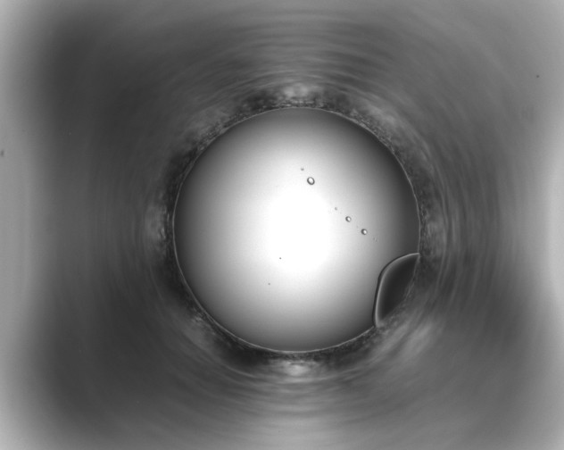 X0000089400654200706221118