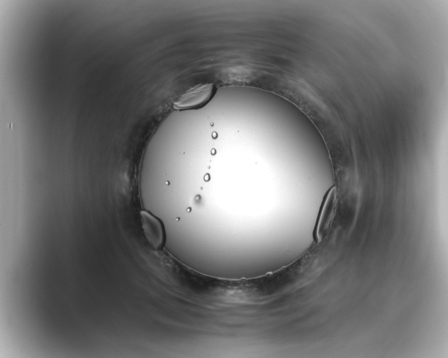 X0000089400655200706221118