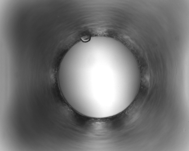 X0000089400658200706221118