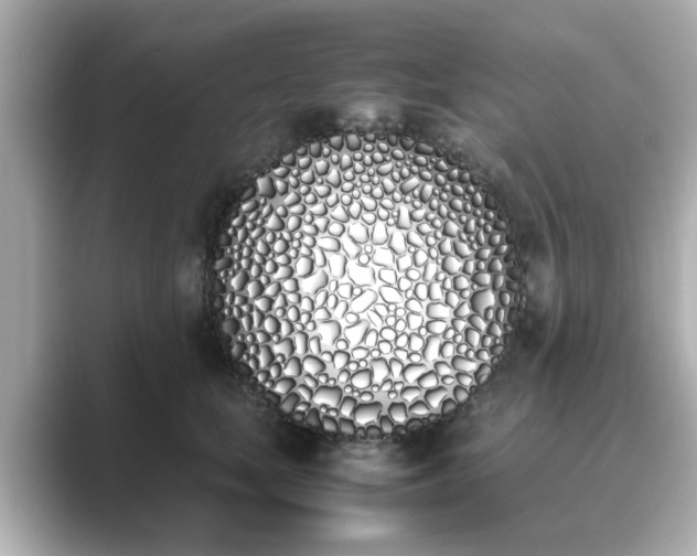 X0000089400659200706221118