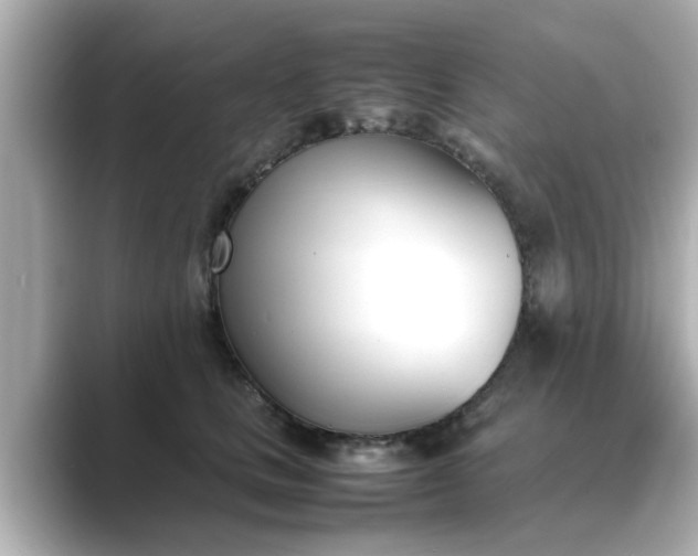 X0000089400661200706221118