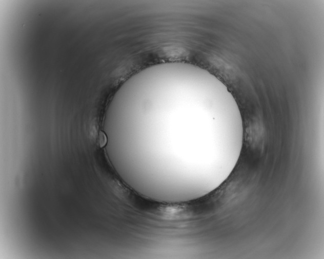 X0000089400662200706221118