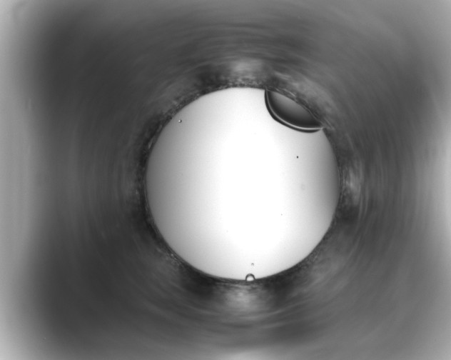 X0000089400663200706221118