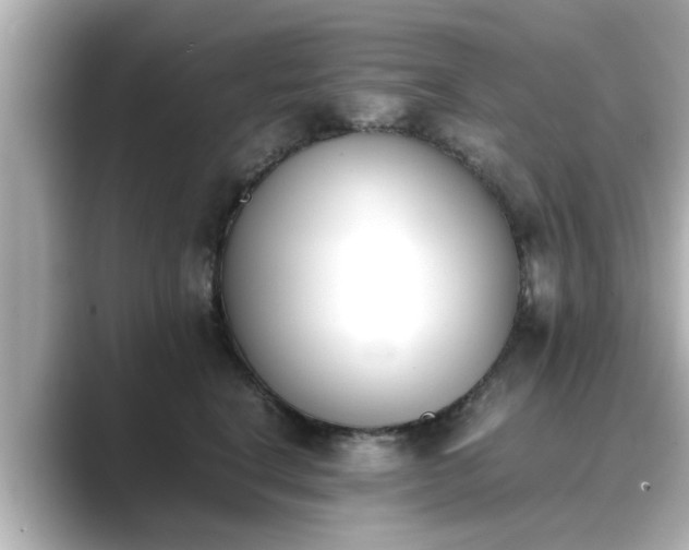 X0000089400664200706221118