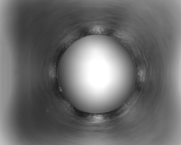 X0000089400665200706221118