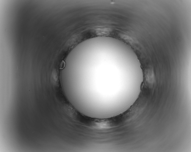 X0000089400667200706221118