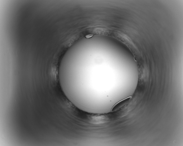 X0000089400669200706221118